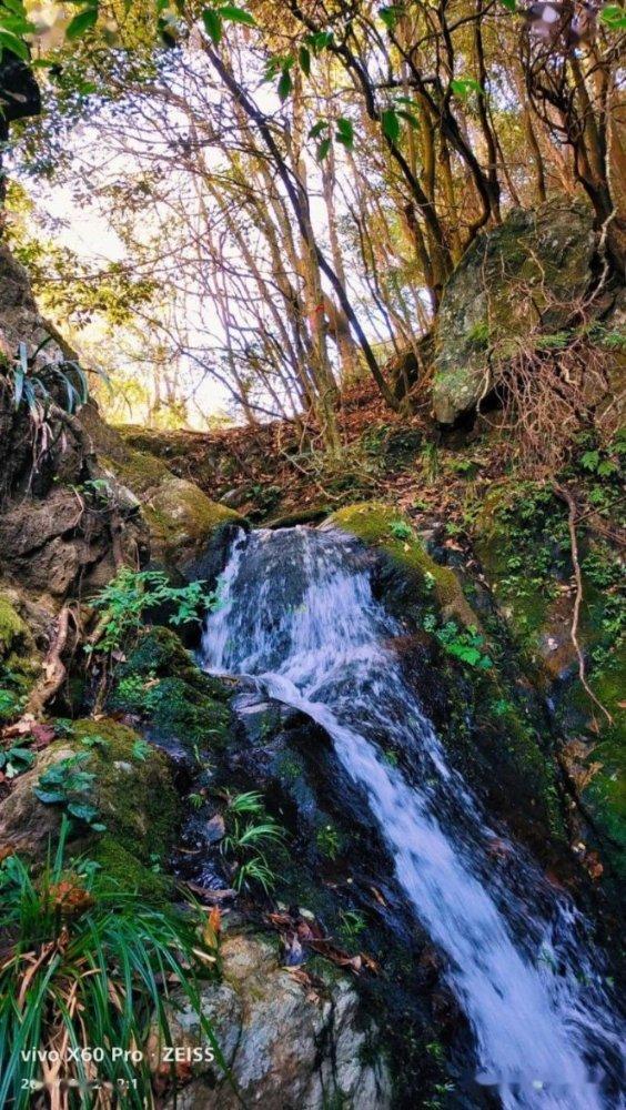去年底漳州市汽车销量猛涨 环比增长158%